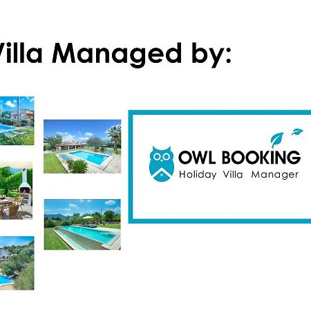 Owl Booking Villa March - 10 Min Walk To The Old Town Pollença Buitenkant foto